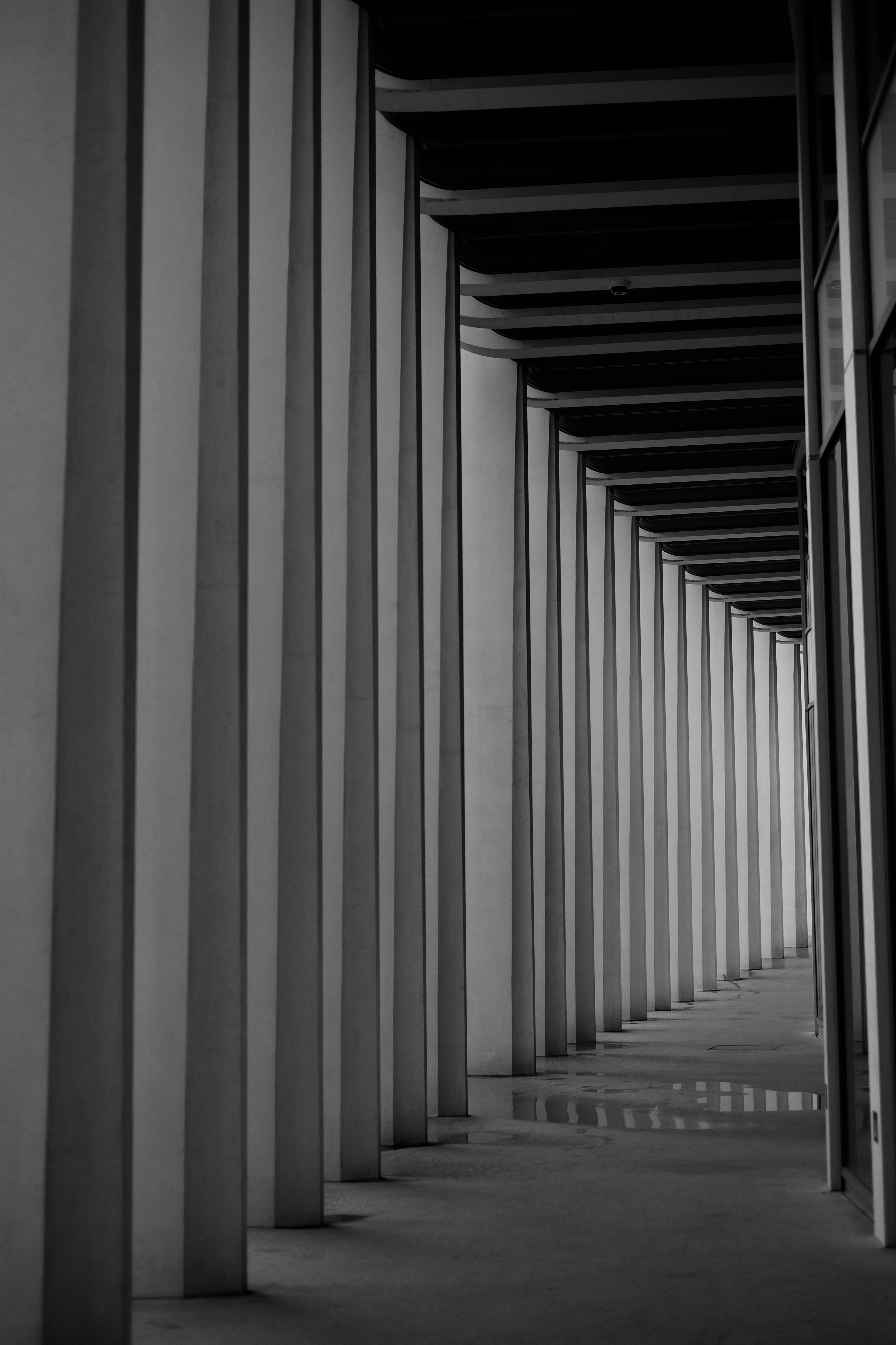 protea-Overlap-Is-Not-Enough